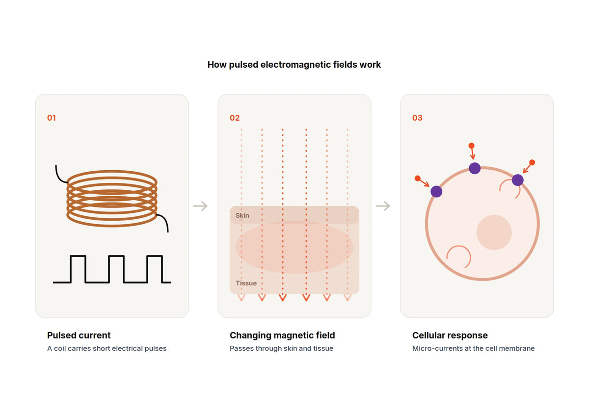 Diagram: a pulsed current in a coil creates a changing magnetic field that passes through tissue and induces micro-currents at the cell membrane